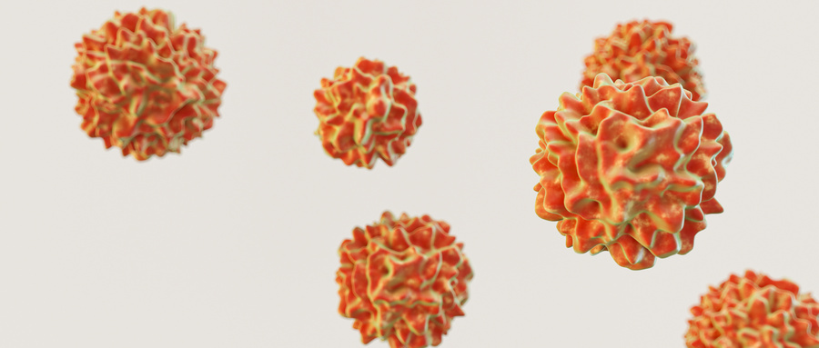 7 truths you must know about stem cells!