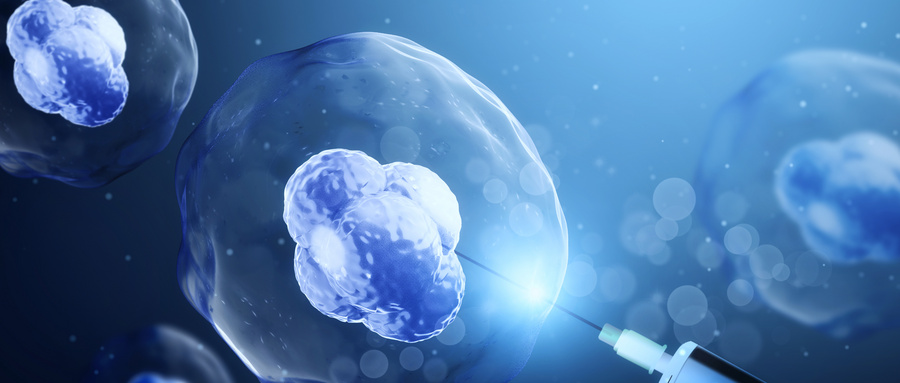 肥胖对IVF/ICSI促排效果和辅助生殖结局的影响