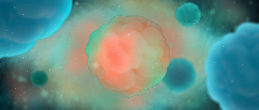 探寻生命的源泉：生物细胞再生的奥秘