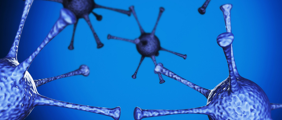 生物能量共振舱：探索生命能量的奥秘