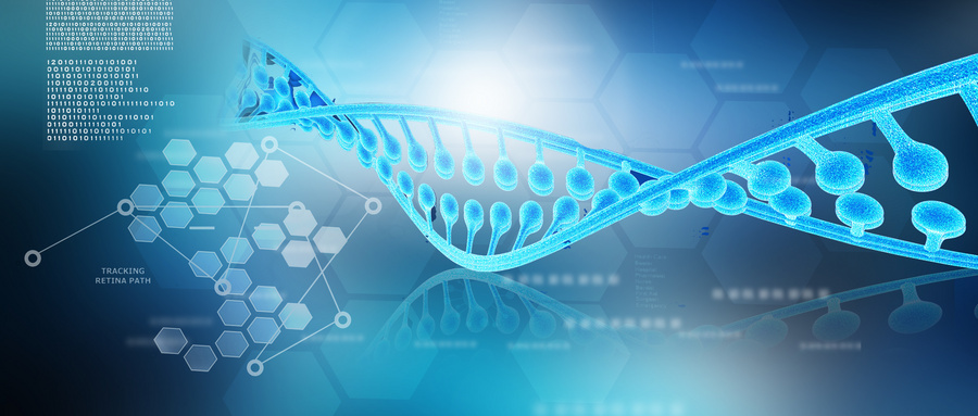 基因遗传学：探秘生命传承的科学魅力