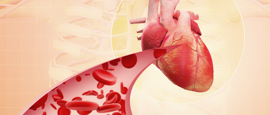 心脏瓣膜增厚：当心门关不严的隐患