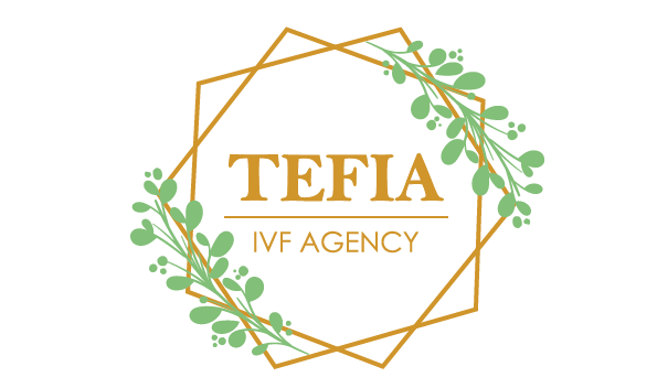 哈萨克斯坦辅助生殖中心——TEFIA IVF AGENCY，邀您相约上海国际医旅展