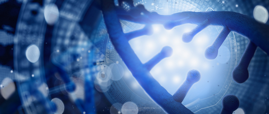 辅助生殖市场：生命希望的产业蓝海