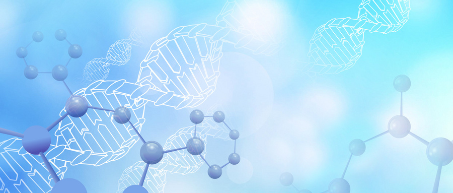 辅助生殖系统：生命起源的科学与温度