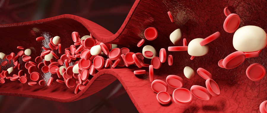 造血干细胞再生：重建造血系统的生命火种